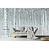 Papermoon Premium collection Fototapete Bäume (B x H: 500 x 280 cm, Vlies) | BAUHAUS