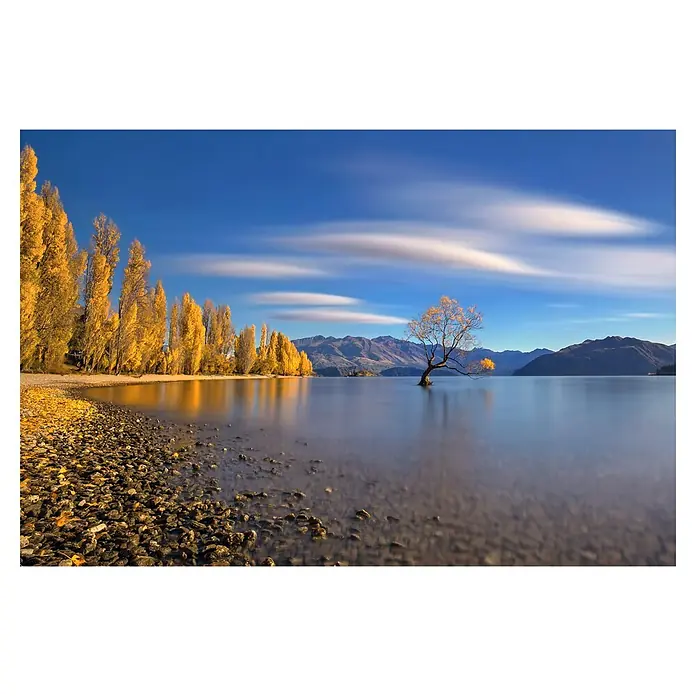 Papermoon Premium collection Fototapete Herbst im See Wanaka - B x H: 350 x 260 cm, Vlies - Malerische Landschaft mit einem See, Bergen im Hintergrund, Bäumen am Ufer und einer einsamen Bauminsel, die Ruhe und Schönheit ausstrahlt.
