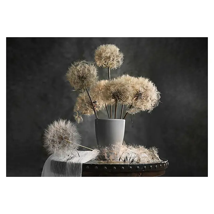 Papermoon Premium collection Fototapete Löwenzahn-Samen-Pod - B x H: 450 x 280 cm, Vlies - Nahaufnahme eines grauen Tischaufsatzes mit Löwenzahn in einer grauen Vase, einige Samen liegen auf dem Tisch und einem Tuch.