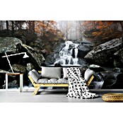 Papermoon Premium collection Fototapete Herbstnebel (B x H: 500 x 280 cm, Vlies) | BAUHAUS