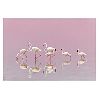 Papermoon Premium collection Fototapete Flamingos (B x H: 400 x 260 cm, Vlies)