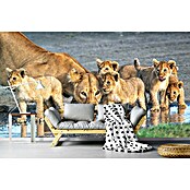 Papermoon Premium collection Fototapete Waress am Wasserloch (B x H: 400 x 260 cm, Vlies) | BAUHAUS