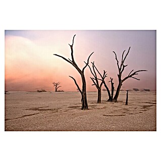 Papermoon Premium collection Fototapete Nebel In Deadvlei (B x H: 450 x 280 cm, Vlies)