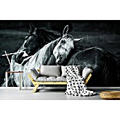 Papermoon Premium collection Fototapete Warmer Regen (B x H: 500 x 280 cm, Vlies) | BAUHAUS