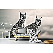Papermoon Premium collection Fototapete Luchse auf Felsen (B x H: 200 x 149 cm, Vlies) | BAUHAUS
