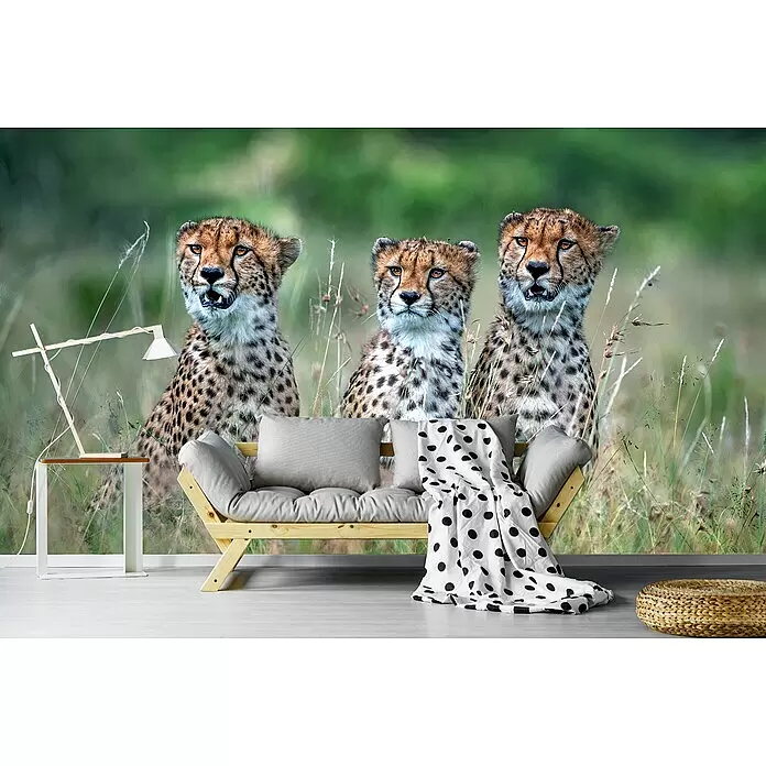 Papermoon Premium collection Fototapete Cheetah Cubs - B x H: 350 x 260 cm, Vlies - Zimmer mit Geparden-Wandbild, ausgestattet mit einem Holzsofa, grauen Kissen, einer gepunkteten Decke, einer Tischlampe und einem geflochtenen Pouf.