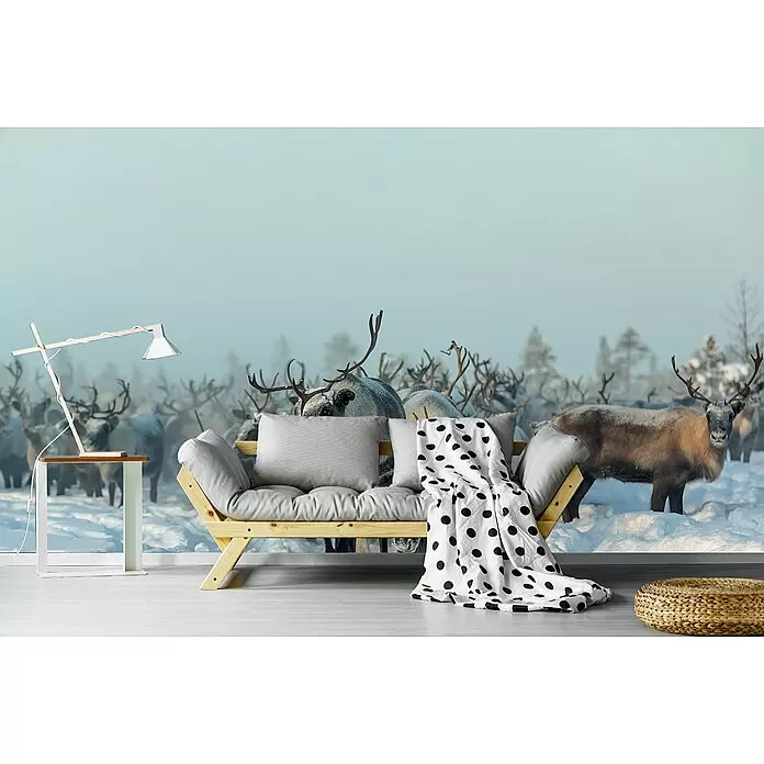 Papermoon Premium collection Fototapete Rentiere - B x H: 300 x 223 cm, Vlies - Ein Futonsofa mit hellgrauen Kissen und Holzrahmen, mit einer gepunkteten Decke, steht in einem Raum mit Naturwandbild.