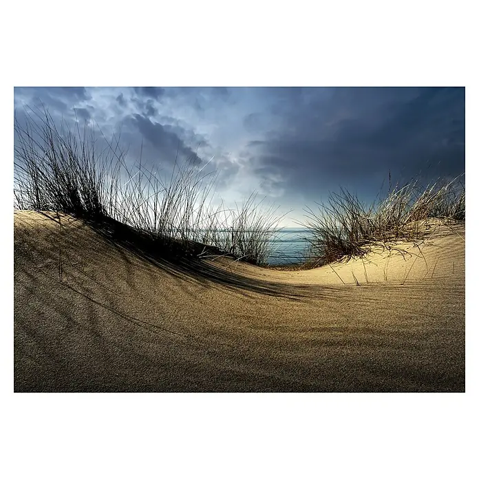 Papermoon Premium collection Fototapete Dünen - B x H: 200 x 149 cm, Vlies - Dünenlandschaft mit Strandhafer unter einem bewölkten Himmel. Das Bild fängt die Ruhe der Natur und die Schönheit der Küstenlinie ein.