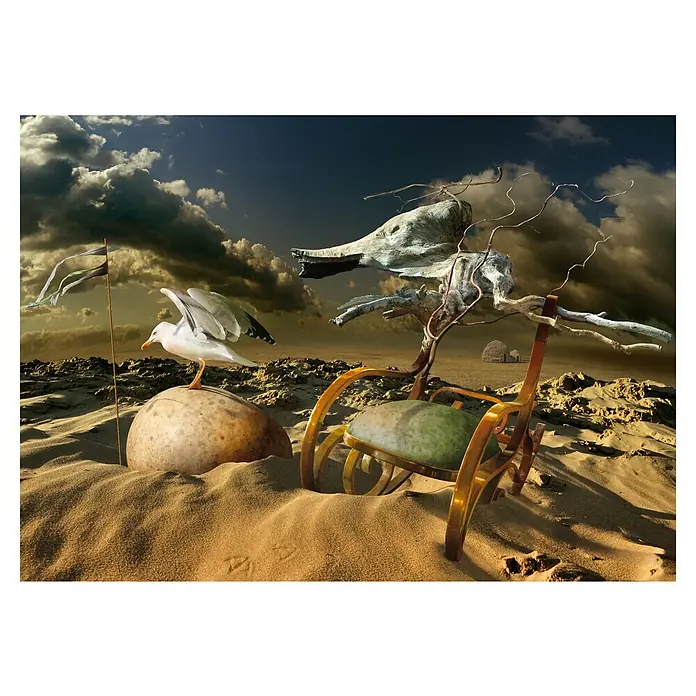 Papermoon Premium collection Fototapete Möwe in der Wüste - B x H: 500 x 280 cm, Vlies - Surrealistische Szene mit einem Stuhl, einer Möwe auf einem Felsen, Ästen und einer wehenden Flagge vor einem dramatischen Himmel.