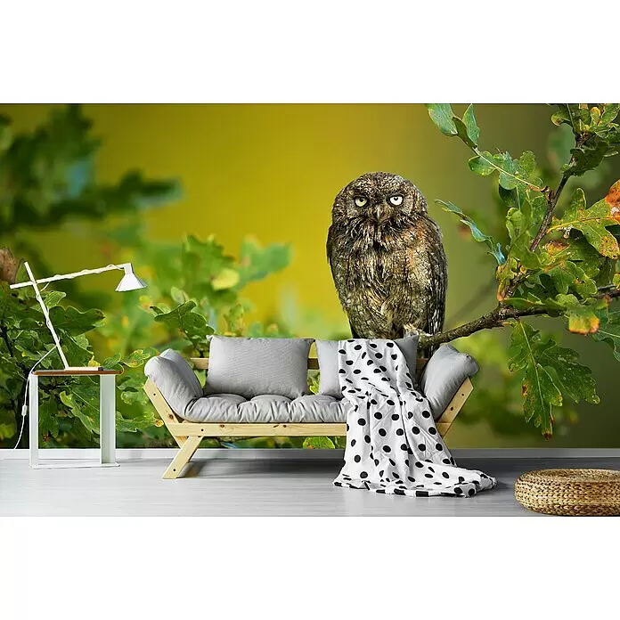 Papermoon Premium collection Fototapete Eurasische Pips-Eule - B x H: 450 x 280 cm, Vlies - Holzsofa mit grauen Kissen, gepunkteter Decke. Weißer Beistelltisch mit Lampe, geflochtener Hocker. Eule auf Ast an Waldmuralwand.