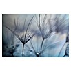 Papermoon Premium collection Fototapete Teardrops (B x H: 350 x 260 cm, Vlies) | BAUHAUS