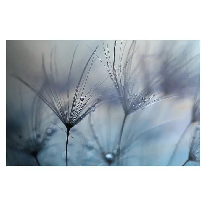 Papermoon Premium collection Fototapete Teardrops