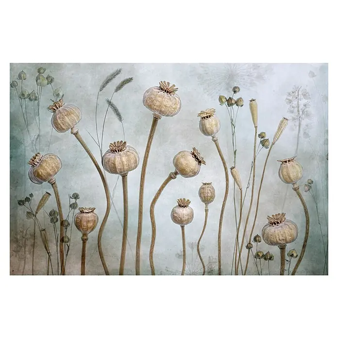 Papermoon Premium collection Fototapete Mohn - B x H: 250 x 186 cm, Vlies - Eine Sammlung getrockneter Mohnblumenköpfe mit zarten Stängeln vor einem sanften, texturierten Hintergrund. Die getrockneten Texturen sind im Fokus.