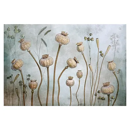 Papermoon Premium collection Fototapete Mohn