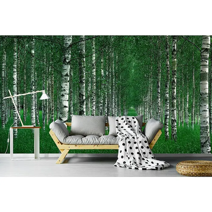 Papermoon Premium collection Fototapete Der Tunnel - B x H: 300 x 223 cm, Vlies - Einladendes Interieur mit einem hellen Holztisch, einer Couch mit Überwurf und einem Blick in einen grünen Birkenwald als Wandgestaltung.