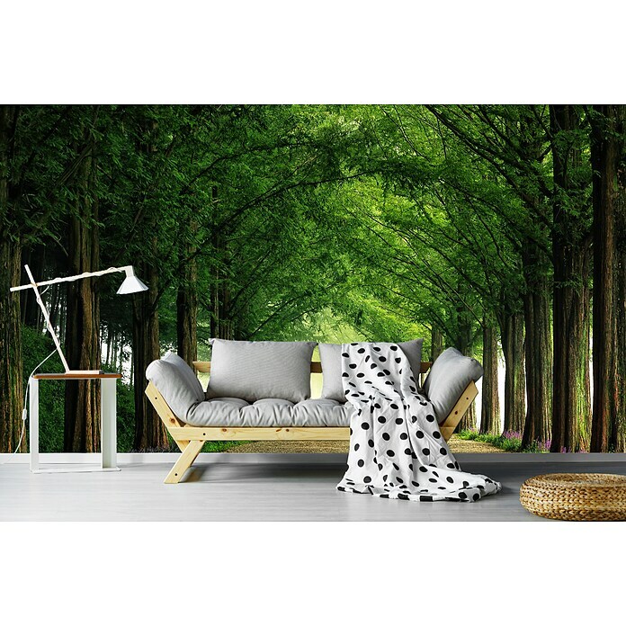 Papermoon Premium collection Fototapete Metasequoiaroad (B x H: 200 x 149 cm, Vlies) | BAUHAUS