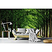 Papermoon Premium collection Fototapete Metasequoiaroad (B x H: 200 x 149 cm, Vlies) | BAUHAUS