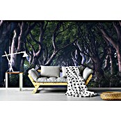 Papermoon Premium collection Fototapete Die dunklen Hedges (B x H: 300 x 223 cm, Vlies) | BAUHAUS