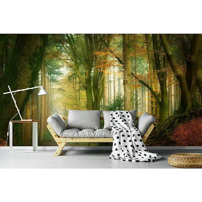 Papermoon Premium collection Fototapete Nach dem Nebel - B x H: 500 x 280 cm, Vlies - Wandbild mit Waldmotiv, ergänzt durch ein modernes Sofa mit Polster und eine Tischlampe. Das naturnahe Design schafft eine entspannende Atmosphäre.