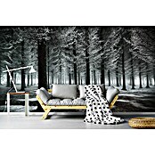 Papermoon Premium collection Fototapete Beginn des Winters (B x H: 300 x 223 cm, Vlies) | BAUHAUS