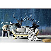 Papermoon Premium collection Fototapete Erster Schnee (B x H: 450 x 280 cm, Vlies) | BAUHAUS