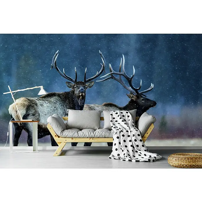 Papermoon Premium collection Fototapete Erster Schnee - B x H: 500 x 280 cm, Vlies - Elegante Wohndekoration mit einem stilvollen Sofa, akzentuiert durch ein auffälliges Hirsch-Wandbild, das jedem Raum Charakter verleiht.
