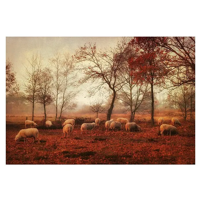Papermoon Premium collection Fototapete Die letzten Tage des Herbstes - B x H: 450 x 280 cm, Vlies - Eine malerische Herbstlandschaft mit einer Schafherde unter kahlen Bäumen, gehüllt in sanftes Licht und nebelverhangene Atmosphäre.