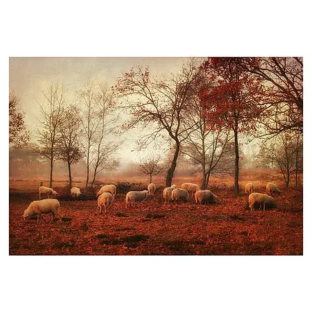 Papermoon Premium collection Fototapete Die letzten Tage des Herbstes