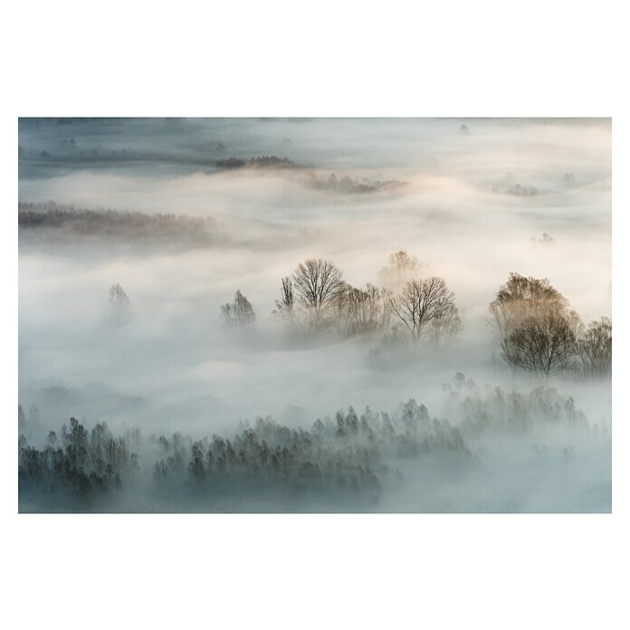 Papermoon Premium collection Fototapete Winternebel (B x H: 500 x 280 cm, Vlies) | BAUHAUS