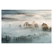 Papermoon Premium collection Fototapete Winternebel (B x H: 500 x 280 cm, Vlies) | BAUHAUS