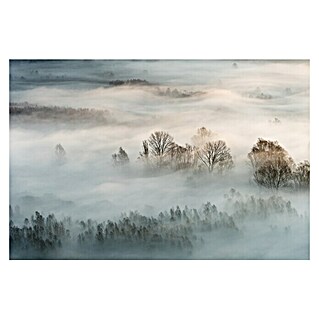 Papermoon Premium collection Fototapete Winternebel (B x H: 400 x 260 cm, Vlies)