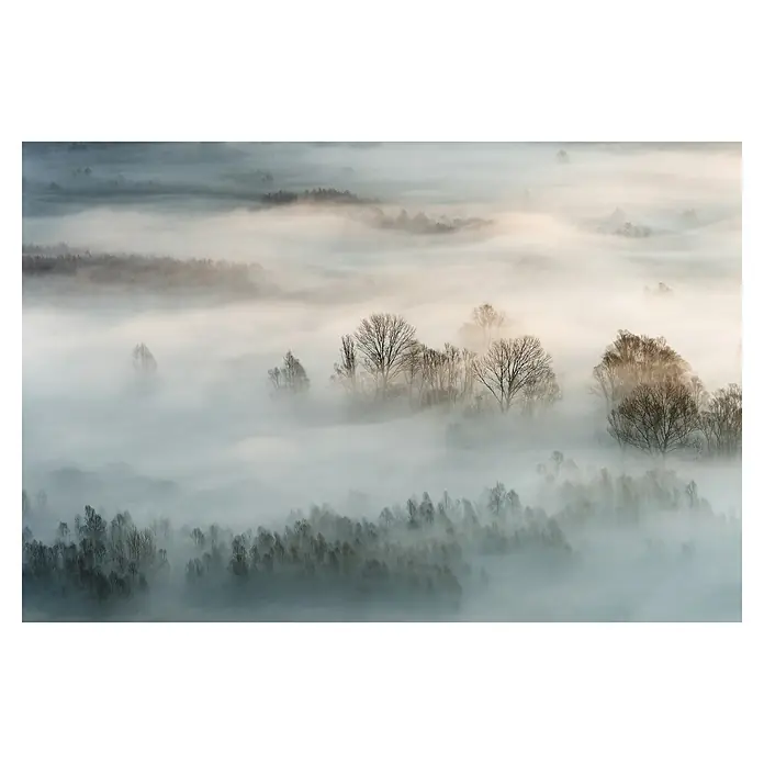Papermoon Premium collection Fototapete Winternebel - B x H: 200 x 149 cm, Vlies - Nebelverhangene Landschaft mit Bäumen, die aus dem dichten Nebel ragen. Die friedliche Szene zeigt die Schönheit der Natur.