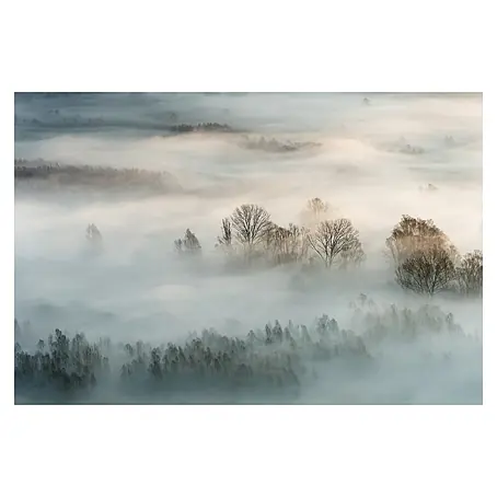 Papermoon Premium collection Fototapete Winternebel