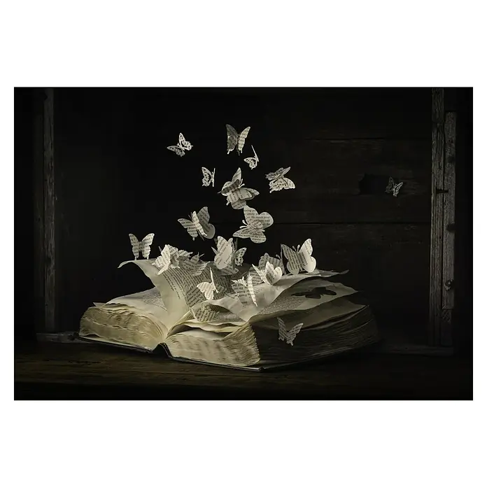 Papermoon Premium collection Fototapete Lepidopterologie - B x H: 400 x 260 cm, Vlies - Dieses Bild zeigt ein aufgeschlagenes Buch, aus dem Papier-Schmetterlinge aufsteigen, die mit Text bedruckt sind. Das Buch liegt auf einem dunklen Holztisch.