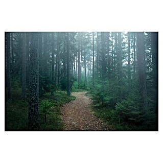 Papermoon Premium collection Fototapete Verwunschener Wald (B x H: 450 x 280 cm, Vlies)