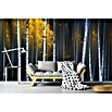 Papermoon Premium collection Fototapete Fallvorhang (B x H: 250 x 186 cm, Vlies) | BAUHAUS