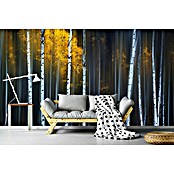 Papermoon Premium collection Fototapete Fallvorhang (B x H: 450 x 280 cm, Vlies) | BAUHAUS