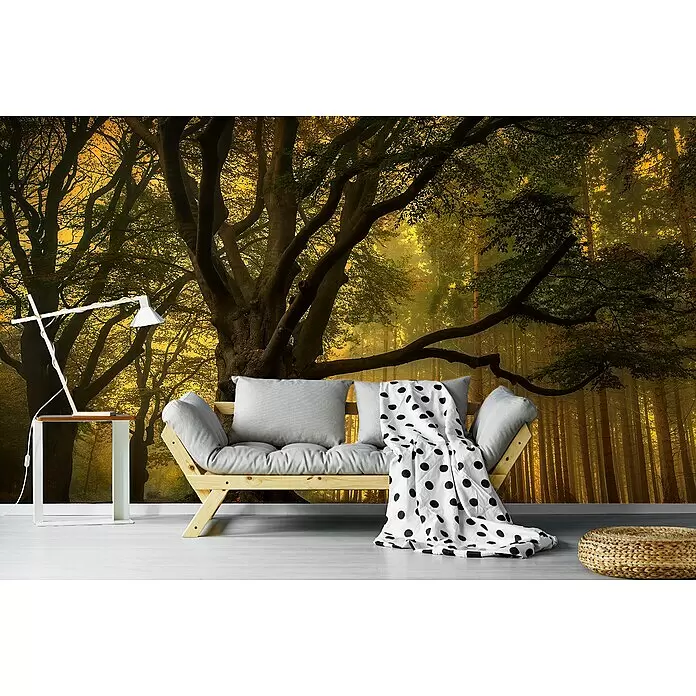 Papermoon Premium collection Fototapete Alter Baum - B x H: 400 x 260 cm, Vlies - Helles Holzsofa mit grauen Kissen und gepunkteter Decke, weißer Beistelltisch mit Lampe und gewebter Pouf auf hellem Boden vor Waldtapete.