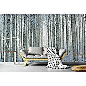 Papermoon Premium collection Fototapete Schneebedeckte Birken (B x H: 300 x 223 cm, Vlies) | BAUHAUS