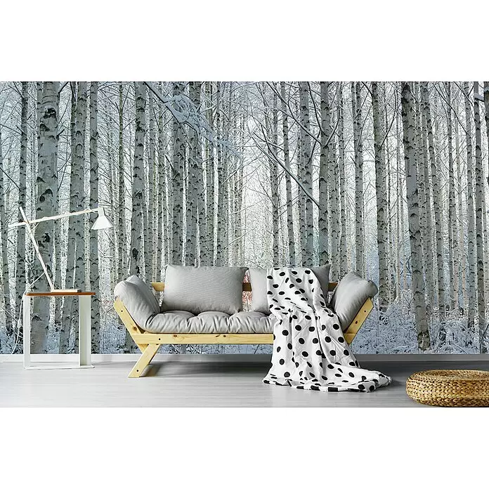 Papermoon Premium collection Fototapete Schneebedeckte Birken - B x H: 500 x 280 cm, Vlies - Holzsofa mit grauen Kissen und weißer Tupfendecke in einem Raum mit verschneiter Birkenwaldtapete.