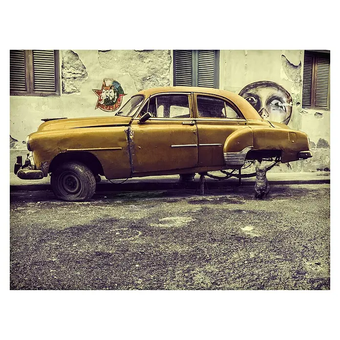 Papermoon Premium collection Fototapete Altes Auto / Katze - B x H: 250 x 186 cm, Vlies - Gelbes Oldtimer-Auto aufgebockt mit einer Katze davor, die in die Kamera schaut, vor einer verblichenen Wand in Havanna.