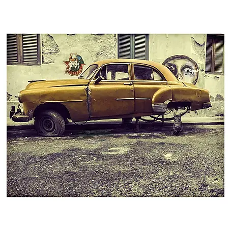 Papermoon Premium collection Fototapete Altes Auto / Katze