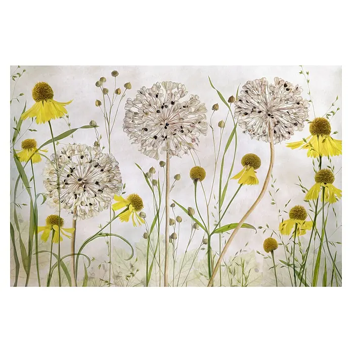 Papermoon Premium collection Fototapete Allien und Heleniens - B x H: 250 x 186 cm, Vlies - Illustration von zarten gelben und weißen Blumen vor einem weichen, strukturierten Hintergrund, die die Schönheit der Natur hervorhebt.