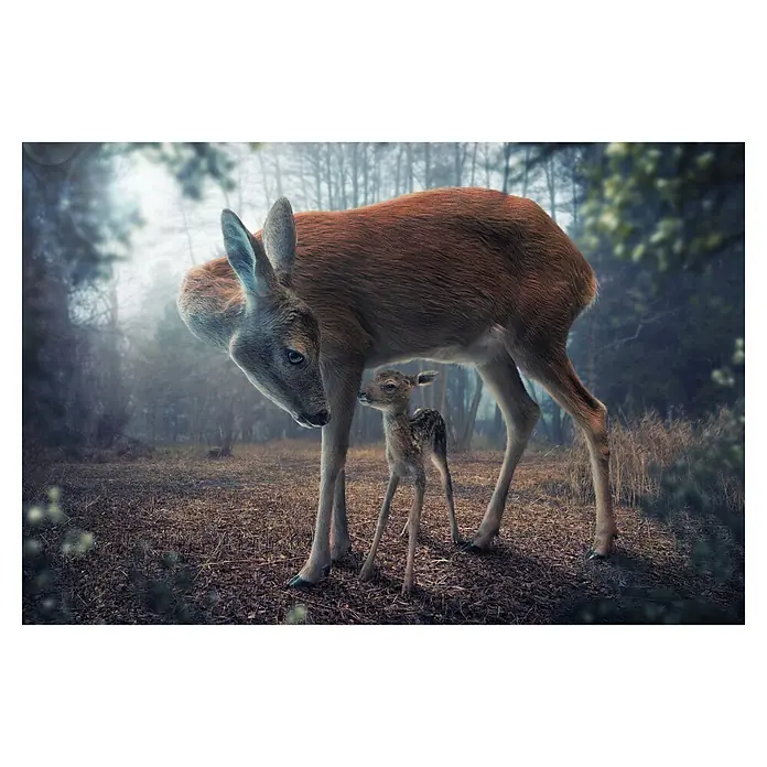 Papermoon Premium collection Fototapete Mutter und Kitz - B x H: 200 x 149 cm, Vlies - Hirschkuh mit Kitz im nebligen Wald. Die zärtliche Szene zeigt die enge Bindung zwischen Mutter und Kind in der Natur.
