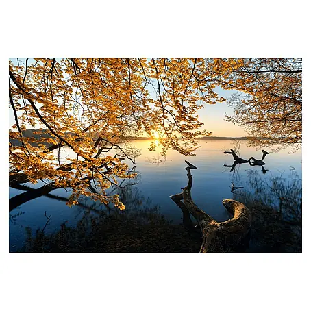 Papermoon Premium collection Fototapete Herbstmorgen