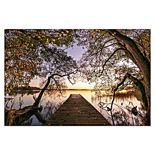 Papermoon Premium collection Fototapete Herbst am See (B x H: 300 x 223 cm, Vlies)