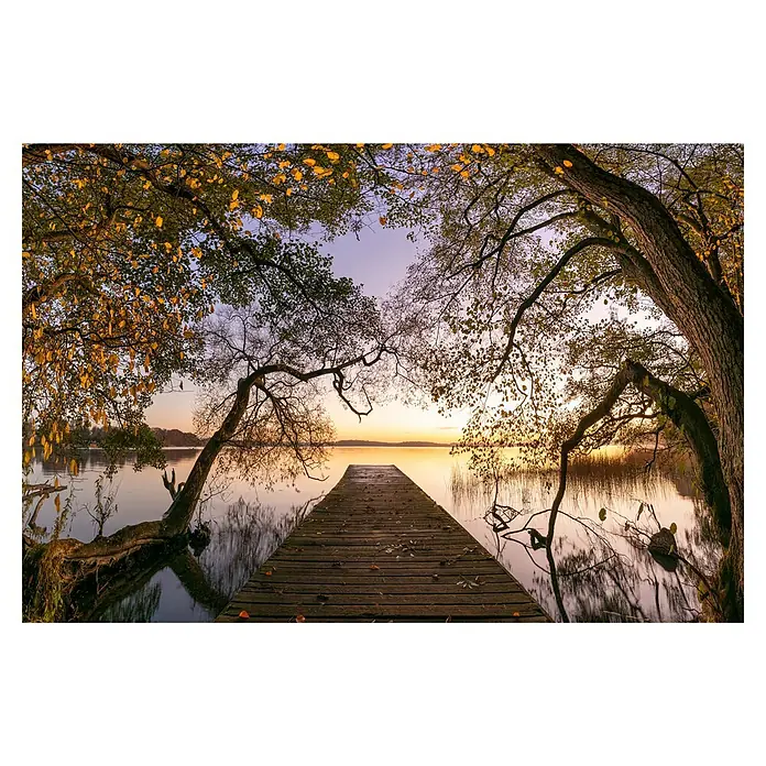 Papermoon Premium collection Fototapete Herbst am See - B x H: 500 x 280 cm, Vlies - Holzsteg über ruhigem Gewässer mit Bäumen im Vordergrund, die goldene Blätter tragen. Idyllische Naturlandschaft bei Sonnenuntergang.