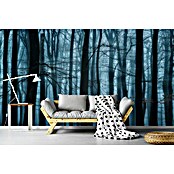 Papermoon Premium collection Fototapete Kühler Waldblick (B x H: 300 x 223 cm, Vlies) | BAUHAUS