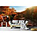 Papermoon Premium collection Fototapete Herbstsee 