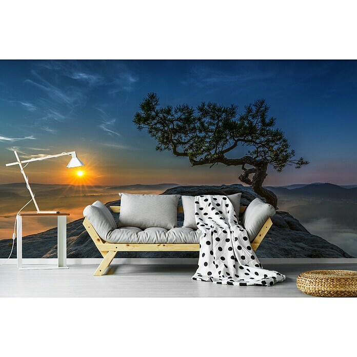 Papermoon Premium collection Fototapete Alte Kiefer (B x H: 450 x 280 cm, Vlies) | BAUHAUS